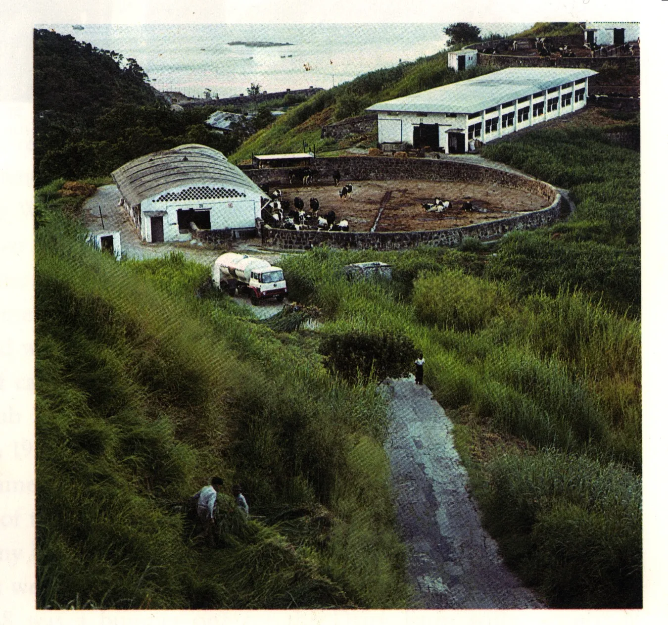 1976 Corner (NEW)
